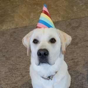 Meet your Posher, Addy